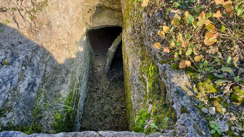 Necropoli Di Monte Luna Santu Teru MADN Museo Archeologico Domu   Monte Luna 03 Web 